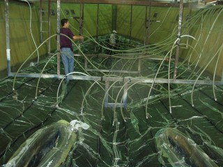 Yacht Molding Yacht Molding