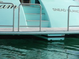 66 Swim Ladder